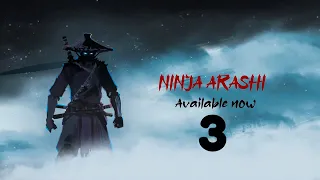 Ninja Arashi 3 Trailer in 3d