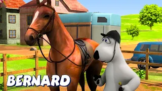 Bernard Bear | Horse Race! AND MORE | Cartoons for Children | Full Episodes