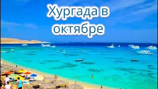 Египет 🇪🇬. Пляж отелей Pyramisa Beach Sahl Hasheesh 5* / The V Luxury Resort 5* Понода в Хургаде.