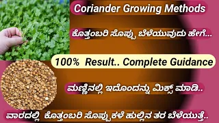 Fastest growing method of Coriander/how to grow Coriander at Home/Coriander plants from seeds/seeds