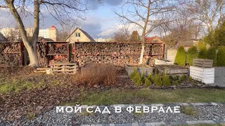 🌳🏡 МОЙ САД В ФЕВРАЛЕ 🐝 ПЛАНЫ НА ЛЕТО 🌱 СЕЮ ПЕТУНИЮ ☘️ КАК СЕБЯ ЧУВСТВУЮТ ВСХОДЫ ЛОБЕЛИИ