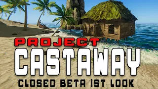 Project Castaway  A  First Look at a New Indie Survival Game