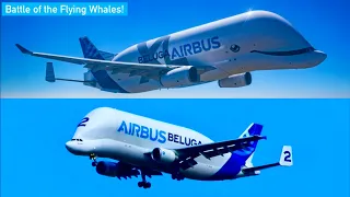 Airbus Beluga XL vs Beluga: Which Airbus transport plane is best?