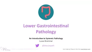 Lower Gastrointestinal (GI) Pathology - Introduction to Systemic Pathology
