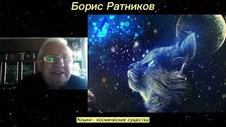 Борис Ратников. Кошки - космические существа. Отрывок из онлайн семинара