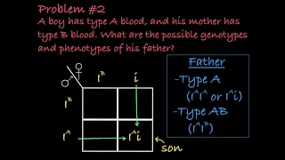 ABO Blood Type Practice Problems