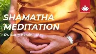 SHAMATHA (SINGLE-POINTED) MEDITATION with Dr. Barry Kerzin