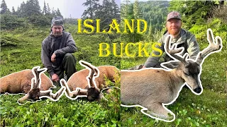 Sitka Blacktail Hunting on Prince of Wales Island, Alaska