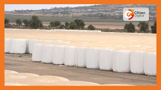 | SMART FARM | Baled silage making in Machakos