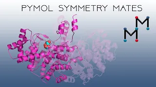 Where's My Dimer? Symmetry Mates in PyMOL