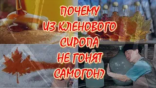 Почему из кленового сиропа не гонят самогон?