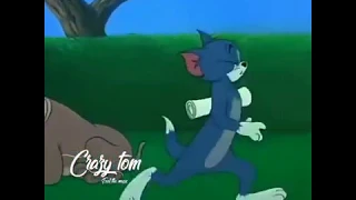 crazy tom and jerry coffin dance rip meme astronomia