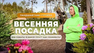 Ландшафтная стройка. Весенняя посадка. Как сажать? В какой грунт? Как ухаживать?