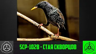 SCP-1028 - Стая скворцов    【СТАРАЯ ОЗВУЧКА】