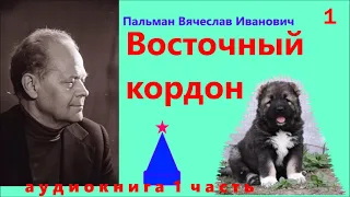 Пальман Вячеслав Иванович Восточный кордон 1 часть
