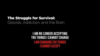 The Struggle for Survival: Opioids, Addiction, and the Brain