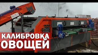 Сортировка и калибровка картофеля (видео)