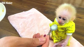 Baby Bibi learns to eat milk