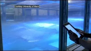 Wave Tank Gives New Insight Into Hurricanes