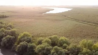 Річка Курудорова з висоти пташиного польоту (місто Біляївка Одеської області)