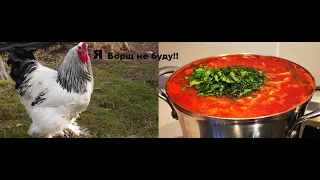 Чем нельзя кормить кур, чтобы они хорошо неслись!! Корми кур (несушек) правильно! Об этом все молчат