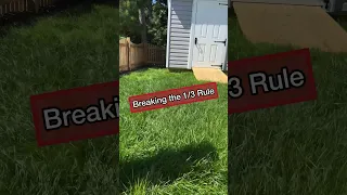 Overgrown Grass Means Breaking the 1/3 Rule