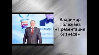 Владимир Полежаев  Презентация бизнеса