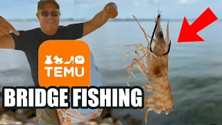 Bridge Fishing With TEMU Gear and Live Shrimp (Saltwater Fishing Florida)