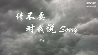 请不要对我说sorry - 何洁「不要再抱歉以为　能给我安慰」【动态歌词/Pinyin Lyrics】