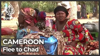 Thousands flee to Chad to escape northern Cameroon violence