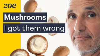 The amazing truth about mushrooms | Prof. Tim Spector