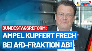 Wahlrechtsreform: Ampel kupfert frech bei AfD-Fraktion ab! - Stephan Brandner - AfD-Fraktion