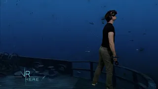 TheBlu VR - Mixed Reality