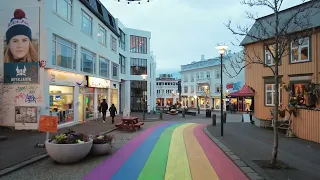 Reykjavik Iceland Christmas Decoration Walk Hallgrimskirkja Church, Rainbow Street, Black Cat