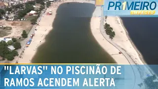 RJ: Bichos parecidos com larvas são encontrados no Piscinão de Ramos | Primeiro Impacto (12/01/24)