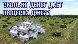 10-серия. Выгода выращивания люцерны Джеа в 2020 году