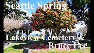 Seattle Spring - Walking in Lakeview Cemetery to Bruce Lee's grave.