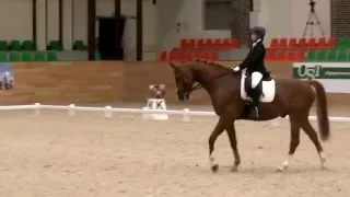 Kamila Baygulova + Ervik ППД-А Maxima Stables 68,718% 09.04.2016