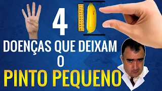 4 doenças que deixam o PINTO PEQUENO