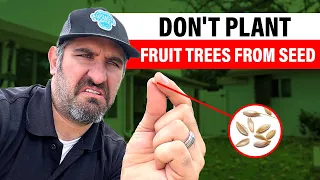 Why You SHOULDN'T Plant Fruit Trees From Seed! 🌳🤔| (Buy Grafted Instead?)