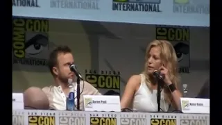 Anna Gunn Talks About Her Role As the "Villian" in Breaking Bad at San Diego Comic Con