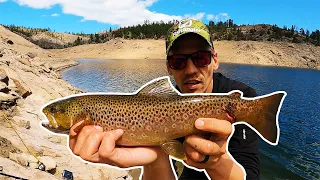 Fishing for Big Brown Trout at a Secluded Colorado Reservoir in Early Summer!