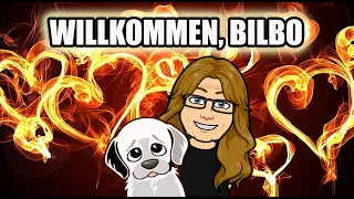 Bilbo zieht ein 😍🥰🐶❤️