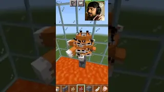 Minecraft: 1000 Fox Vs 1 Chicken 😂