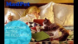 Вести ФМ, Кошкин Дом. Животное детям не игрушка. В гостях зоопсихолог Волков Мирослав.