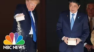 President Donald Trump Dumps Fish Food At Tokyo's Akasaka Palace Feeding Ceremony | NBC News