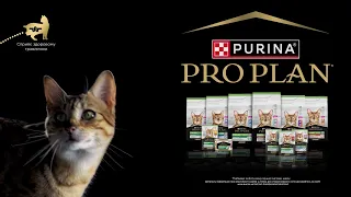 PURINA® PRO PLAN® - широкий вибір для стерилізованих котів