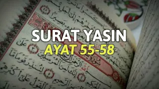 Surat Yasin Ayat 55-58