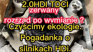 2.0HDI TDCI zerwany rozrząd po wymianie ?Czyścimy ekologie Pogadanka o silnikach HDi. #rodzinaforte