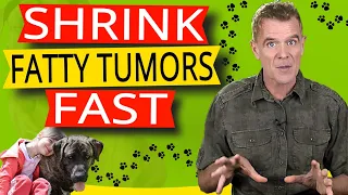 How to Get Rid of Fatty Tumors in Dogs (One Simple Supplement)